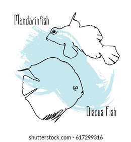 Vector outline Illustration with fish