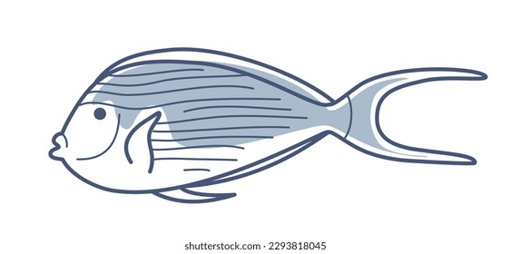 Vector outline illustration of a fish surgeonfish sohal  with part fill.