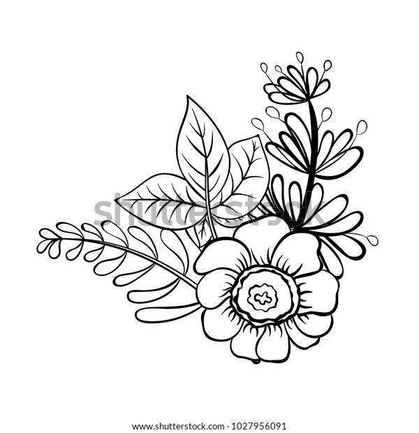 Vector Outline Illustration Flower Bouquet Black Stock Vector (Royalty