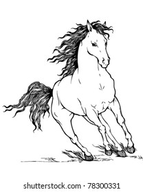 vector outline illustration of galloping horse with beautiful mane