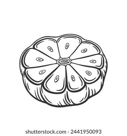Vector outline illustration of garlic bulb cut in half. Heap of garlic cloves. Aromatic and spicy vegetable for healthy food cooking.