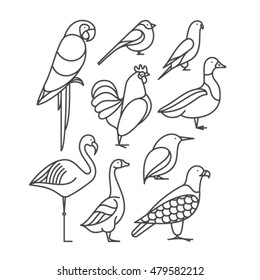 Vector outline illustration, icon set of bird: macaw, bullfinch, parrot, rooster, duck, flamingo, goose, kingfisher, eagle