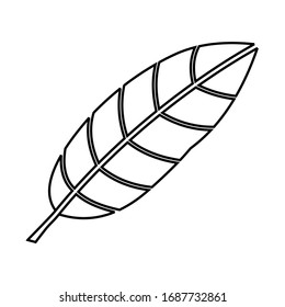 Vektorgrafik eines isolierten Mangoblattes mit weißem Hintergrund, das für Logos, Zeitschriften und Bücher verwendet wird.