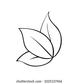 Vector outline illustration of leaves. Black and white drawing of a plant. Isolated object of floral theme