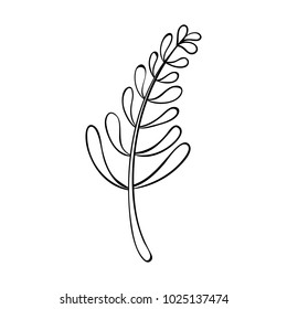 Vector outline illustration of leaves. Black and white drawing of a plant. Isolated object of floral theme