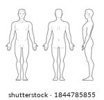 Vector outline illustration of male body. Front, rear, and side views.