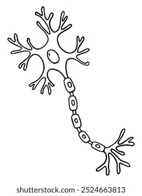 Ilustração do contorno vetorial da anatomia dos neurônios. Estilo Doodle.