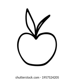 A Vector outline illustration of one apple with leaves isolated on a white background