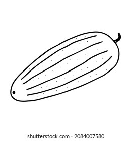 A Vector outline illustration of one fresh cucumber isolated on a white background