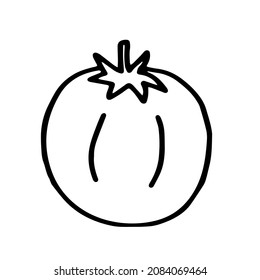 A Vector outline illustration of one fresh tomato isolated on a white background
