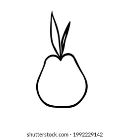 A Vector outline illustration of one pear with leaves isolated on a white background