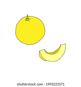 A Vector outline illustration of one slice fresh yellow melon with seeds isolated on a white background