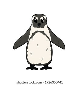 Vector outline illustration of penguin. Doodle cartoon single isolated fluffy animal on white background. Front view