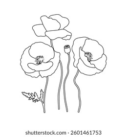 Vector Outline Illustration of Poppies Flowers Isolated on White Background