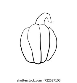 Vector outline illustration of a pumpkin on a white background
