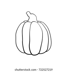 Vector outline illustration of a pumpkin on a white background