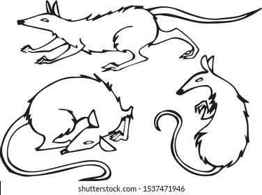 Vector outline illustration set of cartoon creepy rats, isolated on transparent background. For design elements, Halloween celebration party, etc