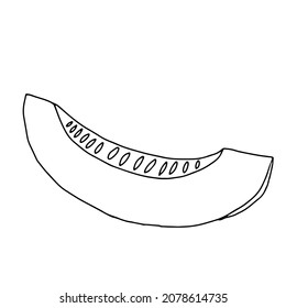 A Vector outline illustration slice fresh melon with seeds isolated on a white background