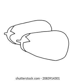 A Vector outline illustration of two fresh eggplants isolated on a white background