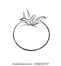 Vector outline illustration of a whole tomato in sketch style. Suitable for design, packaging, printing, and culinary projects.