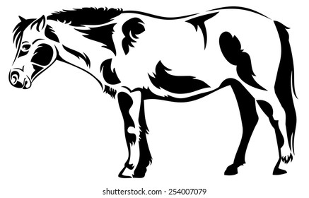 Vector outline image of a horse isolated on a white background.