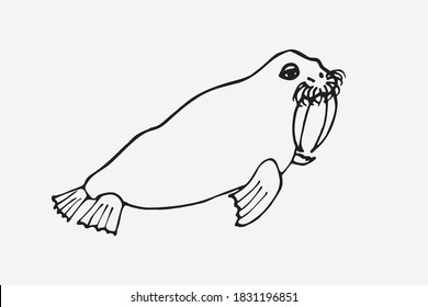 Vector outline image of a walrus. Suitable for logo, printed matter, advertising
