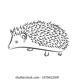 vector outline isolated hedgehog illustration, sketch, logo. Pet African pygmy. 
