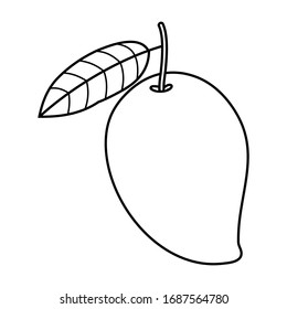 Vector outline of an isolated mango on a white background.