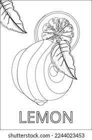 vector outline of lemon you can use it for multiple purpose such as coloring book or any drawing field, all the objects are organized so it's very easy to use .