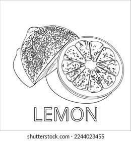 vector outline of lemon you can use it for multiple purpose such as coloring book or any drawing field, all the objects are organized so it's very easy to use .