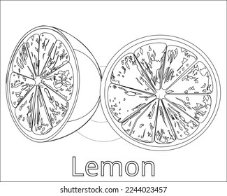 vector outline of lemon you can use it for multiple purpose such as coloring book or any drawing field, all the objects are organized so it's very easy to use .