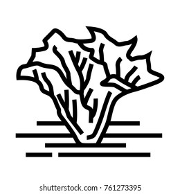Vector outline lettuce icon