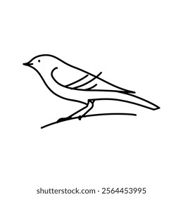 vector outline linear illustration, bird sitting on a branch. Vector illustration