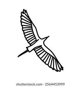 vector outline linear illustration, crane flying in the sky, stork, wings, soaring in the air. Vector illustration