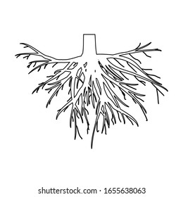 Vector outline logo of an underground tree root with a white background.