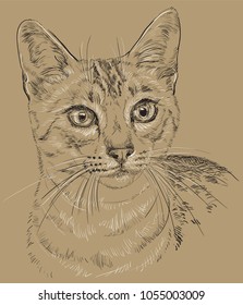 Vector outline monochrome portrait of curious Egyptian Mau Cat in black and white colors. Hand drawing illustration isolated on brown background