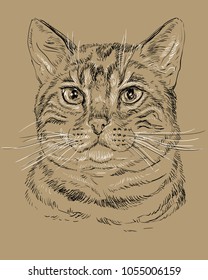 Vector outline monochrome portrait of tabby curious Bengal Cat in black and white colors. Hand drawing illustration isolated on brown background