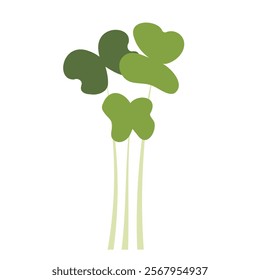 Vector outline of mustard microgreens sprouts