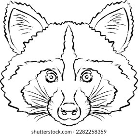 vector outline muzzle of a raccoon, torn edge black stroke