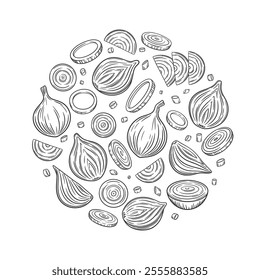 Vector outline onion background. Hand drawn illustration of onion bulb, slices, rings, chopped and whole onion bulb. Collection of onion design elements. Healthy vegetable ingredient for cooking.