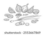 Vector outline onion illustration. Sketch onion composition. Bunch of garlic bulbs and rings. Farm vegetables for cooking. Young onion background.