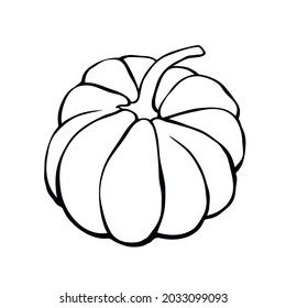 Vektorkürbis im Doodle-Stil. Schwarze Kontur einzeln auf weißem Hintergrund. Symbol Halloween, Herbst, Ernte, Erntedanktag, fruchtbares Jahr