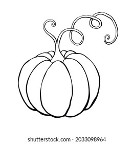 Vector outline pumpkin with a mustache in doodle style. Black contour isolated on white background. Symbol Halloween, autumn, crop, thanksgiving day, fruitful year