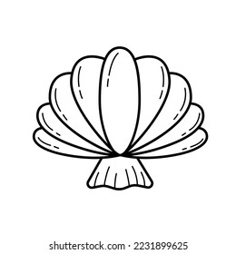 Vector outline seashells isolated on white.