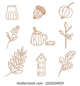 Conjunto de esquemas vectores de iconos de otoño: hoja, tarro lindo, fisalis, bellota, casa, rama con bayas, cadera rosa, nevada, taza. Colección de elementos de la temporada de otoño.