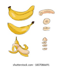 Vector outline set of bananas whole, peeled, chopped isolated on white. Design for card, postcard, textile, fabric, print, pattern, package, menu