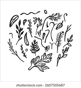 Vector outline set of decorative abstract herbs and plants.