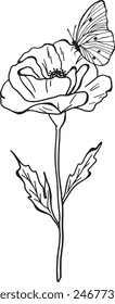 Vector outline set, delicate meadow flower and butterfly. Template space for text. Greeting cards, invitation, gender party, baby shower, birthday, event, holiday, wedding card, printable.