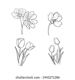 vector outline set of different flowers, sketch of tulips, poppies and other flowers