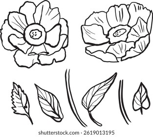 Vector outline set of flowers and leaves